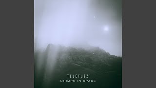 Chimps in Space