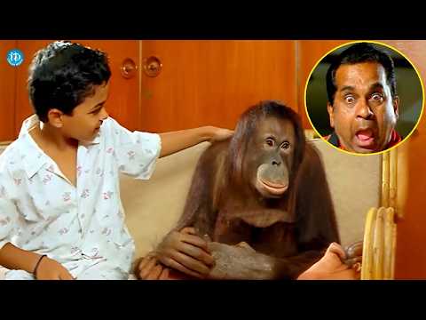 ఈ కామెడీ కి నవ్వని వాళ్లుండరు | Sahasa Baludu Vichitra Kothi Back To Back Comedy Scenes