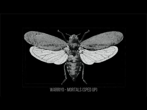 Warriyo Mortals Sped Up