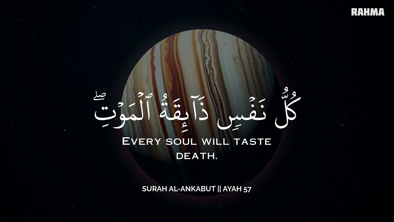 رح سمعك وقلبك بالقرآن❤️🎧 وأستمع لتلاوة هادئه بصوت محمد هشام | راحة نفسية😌 | Mohamed Hesham