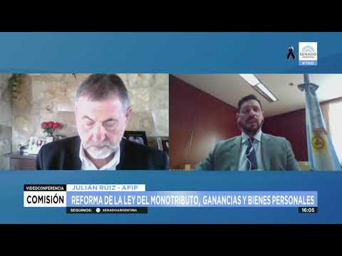 JULIÁN RUIZ 2 -  COMISIÓN PRESUPUESTO Y HACIENDA 07-07-21