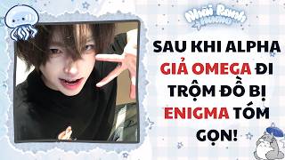 【Đam Audio】SAU KHI ALPHA GIẢ OMEGA ĐI TRỘM ĐỒ BỊ ENIGMA TÓM GỌN!