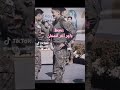 вњЁ Щ Ш Щ ЩЉ Ш ШЁЩЉШЁЩЉ Щ Ш Щ ЩЉ Ш Щ ШєШ Щ ЩЉвњЁ вњЁ Щ Ш Щ ЩЉ Ш ШЁЩЉШЁЩЉ Щ Ш Щ ЩЉ Ш Щ ШєШ Щ ЩЉвњЁ