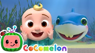 Baby Shark plays Hide and Seek! CoComelon  Moonbug Kids  Learning Corner