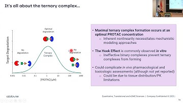 Translational PK/PD Modeling for Oncology: Focus on Targeted Protein Degradation