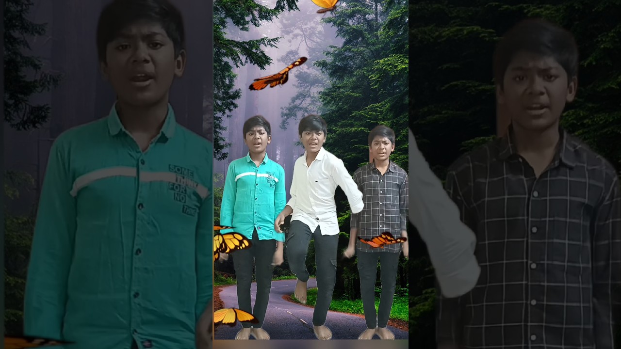 butterfly song 😍🦋 