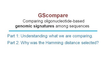 GScompare: Why was the Hamming distance selected?