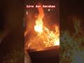 LIVE HAVAN #viral #trending #shortsads #viralvideo #youtube