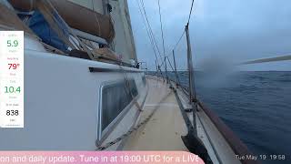 24/7 LIVE - Mara Solo Sailing Across the Atlantic Ocean screenshot 3