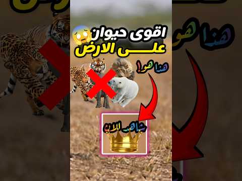 من هو اقوى حيوان على وجه الارض