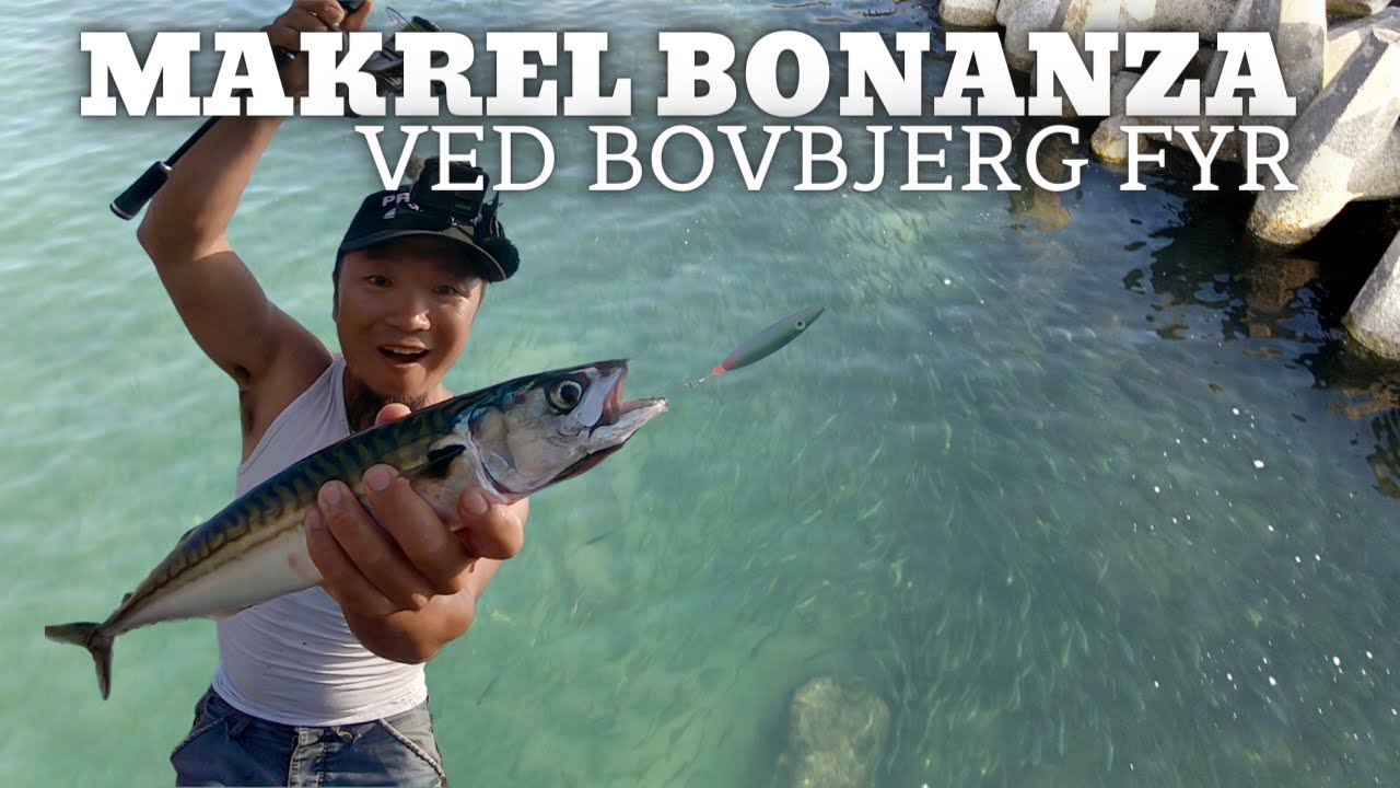 To dage - makrel ''BONANZA'' ved Bovbjerg fyr | Helt vanvittig makrelfiskeri