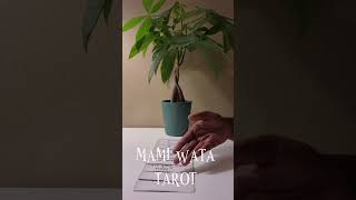 They Keep Coming For This Divine Reincarnate And It Causes Tragedy For Them Every Time So What Gives