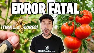 ¿Tus TOMATES pierden las flores? 🍅💀 El Error que Nadie te Cuenta