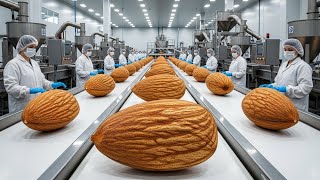 Automated production line in a million-dollar almond factory | From farm to export packaging