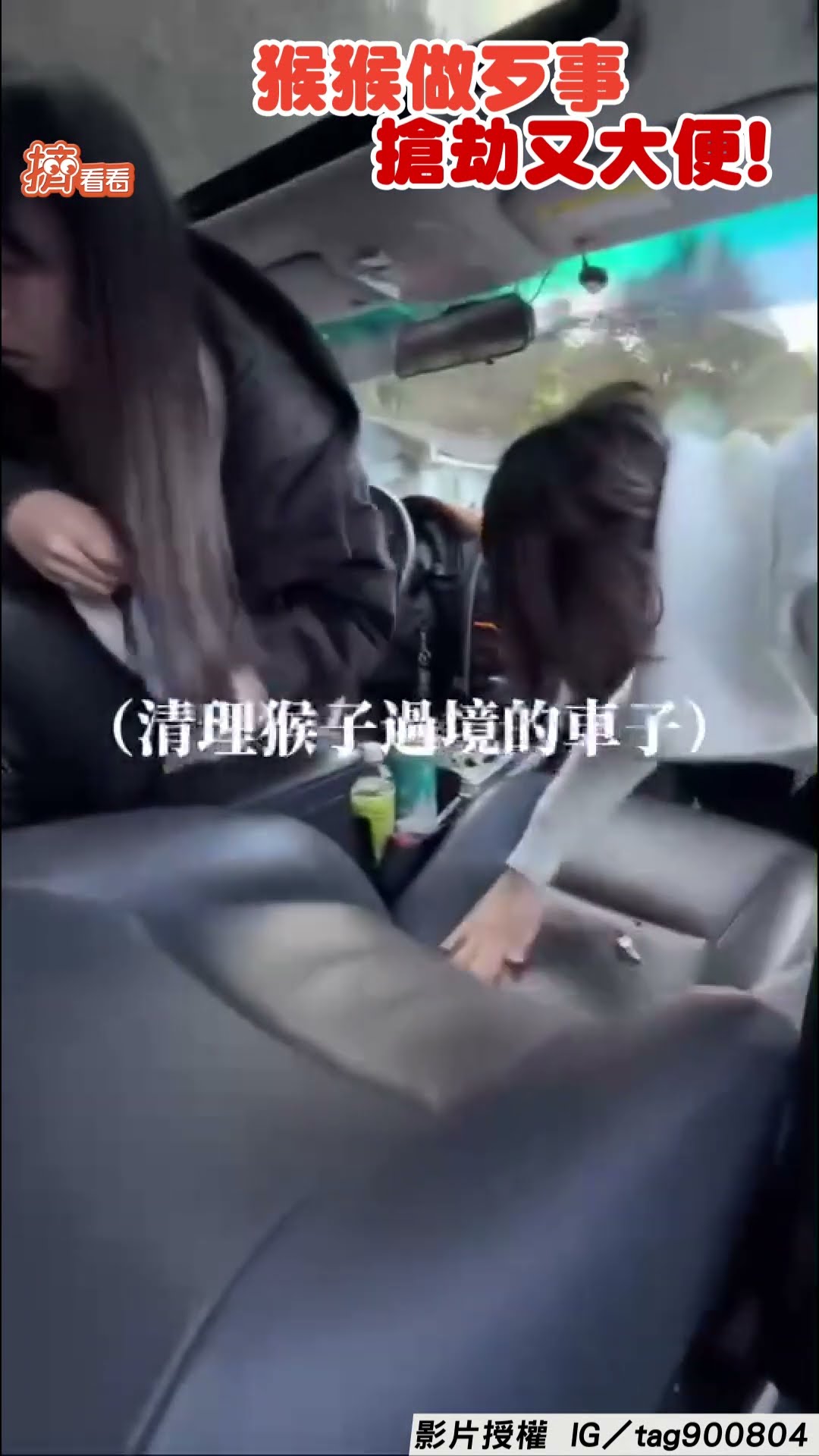 阿里山獼猴大軍鑽天窗進車搶食! 吃完「留黃金」走人遊客無奈又好笑｜TVBS新聞｜擠看看@TVBSNEWS01