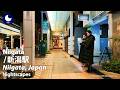 Glowing Night in Niigata City: Special Energy & Fan Culture (4K ASMR) | April 2026