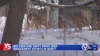 Dewitt Neighbors Deal With Deer Dilemma Your Stories