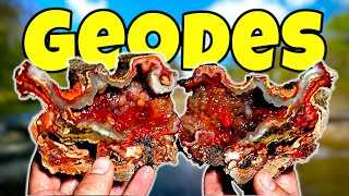 An AMAZING Agate Adventure: Finding &amp; Cutting Open INCREDIBLE Florida Alligator Agate Geodes!