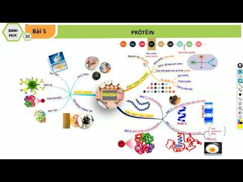 Video Sinh học 10 - Bài 5 - PRÔTÊIN... - youtube