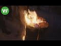 Schwedenfeuer - so wird der Baumstamm geschlitzt