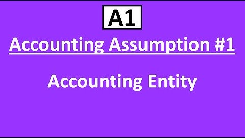 A1 Accounting Assumption #1: Accounting Entity