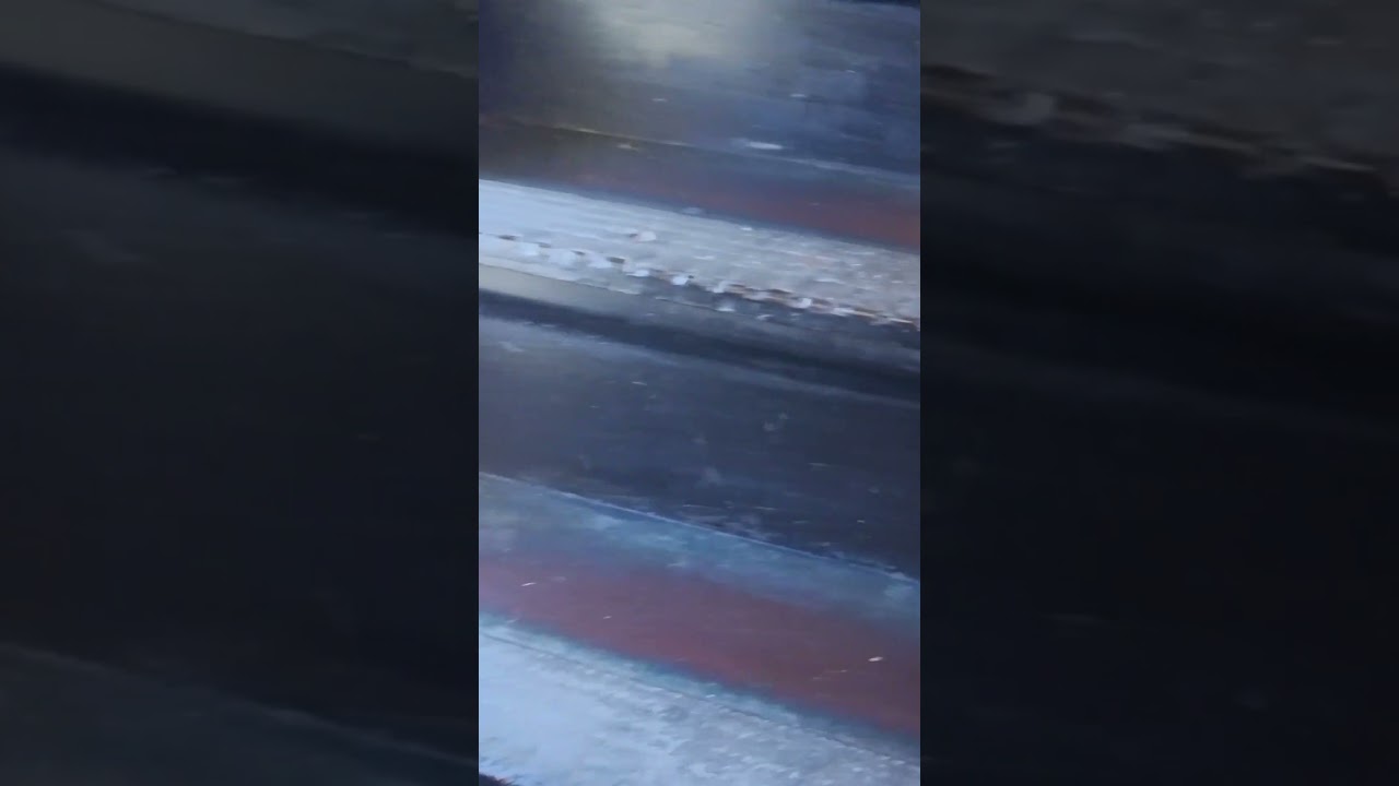 Reggie's Realm™ !..Part Two...