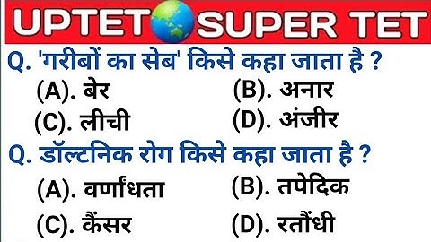 UPTET 2021 || Super TET EVS Important Questions || Super TET || UP LEKHPAL || SSC || RRB || UPPET