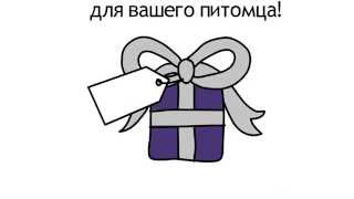 Коробочка для собак Buddy Box Коробочка для собак Buddy Box