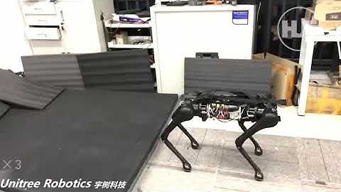 Robots Boston dynamics from China bad copy (Unitree robotics)