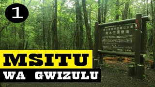 (MPYA) MSITU WA GWIZULU - 01 Season01