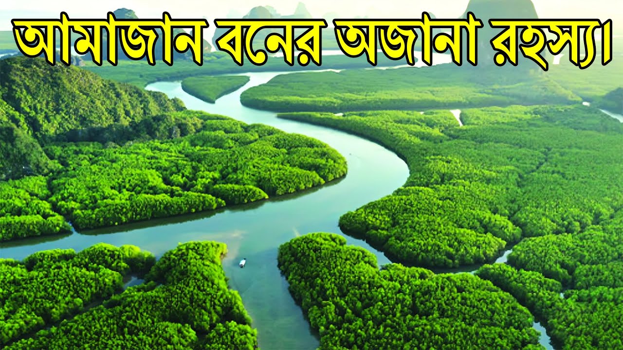 আমাজন বনকে কেন পৃথিবীর ফুসফুস বলা হয়। Why the Amazon forest is called