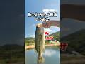 魚でわらしべ長者してみた