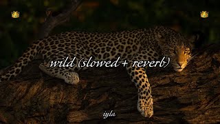 iyla - wild (slowed + reverb)