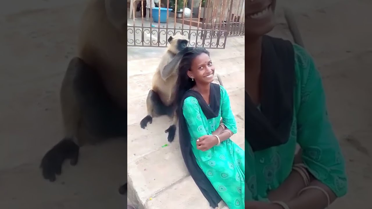Funniest Video on the Internet Today 🤣✨...#bablucoco #funny #funnyclip 