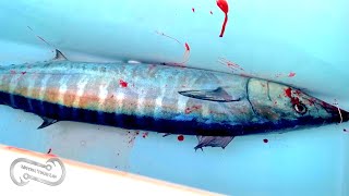 Wahoo Catch and Cook - 3 Amazing Recipies All in 20 minutes