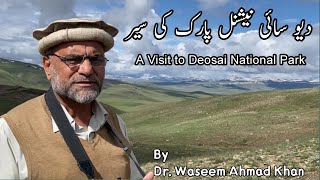 Deosai National Park Skardu A Visit To Deosai National Park Deosai National Park Vlog