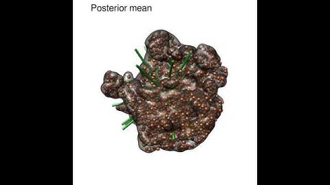 Reconstruction of the 50S Ribosome from the Initial Random Model to the Final Model