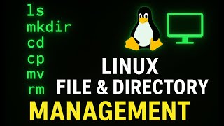 Linux File & Directory Management | ls, mkdir, cd, cp, mv, rm Explained with Real-Time Examples
