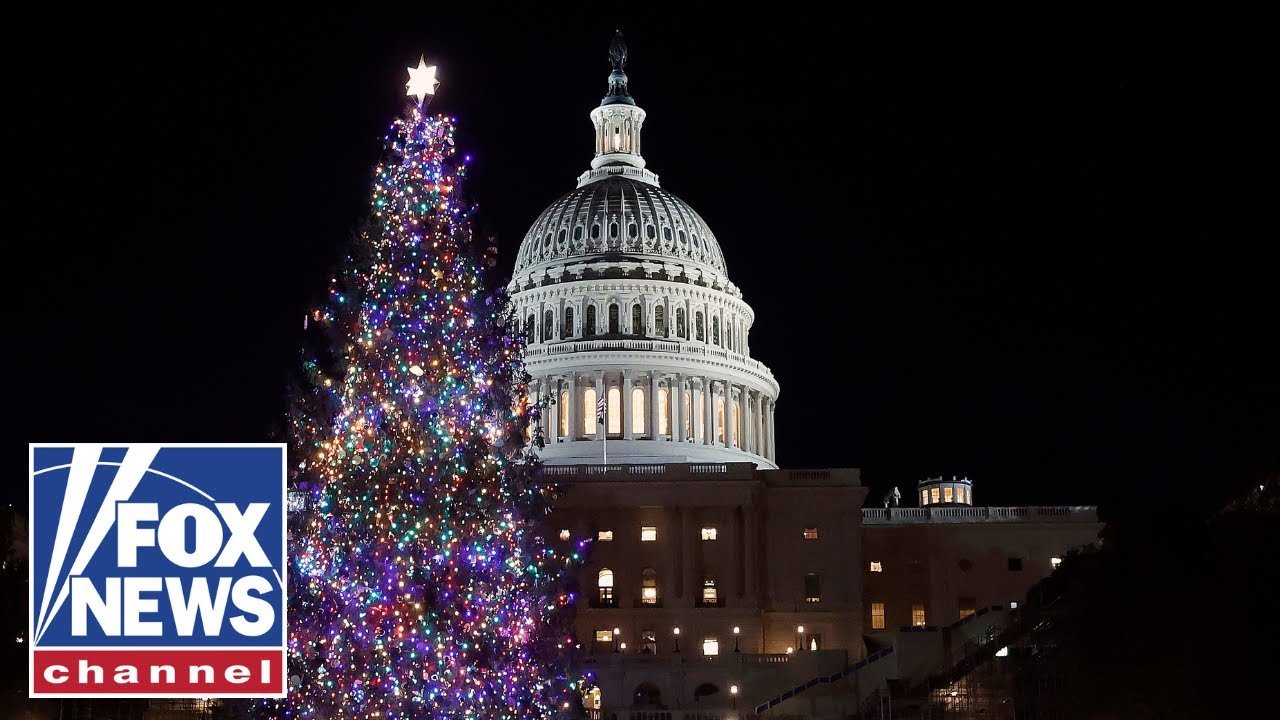 WATCH LIVE: 2025 US Capitol Christmas Tree arrives at Joint Base Andrews on its way to DC