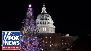 WATCH: 2025 US Capitol Christmas Tree arrives at Joint Base Andrews on its way to DC