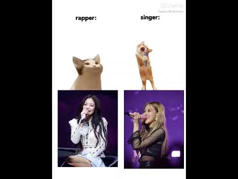 Rapper vs Singer