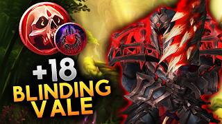 What does this mob do!? Guiding my healer through Blinding Vale +18 | Midnight Season 2 M+