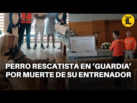 PERRO RESCATISTA EN ‘GUARDIA’ POR LA MUERTE DE SU ENTRENADOR