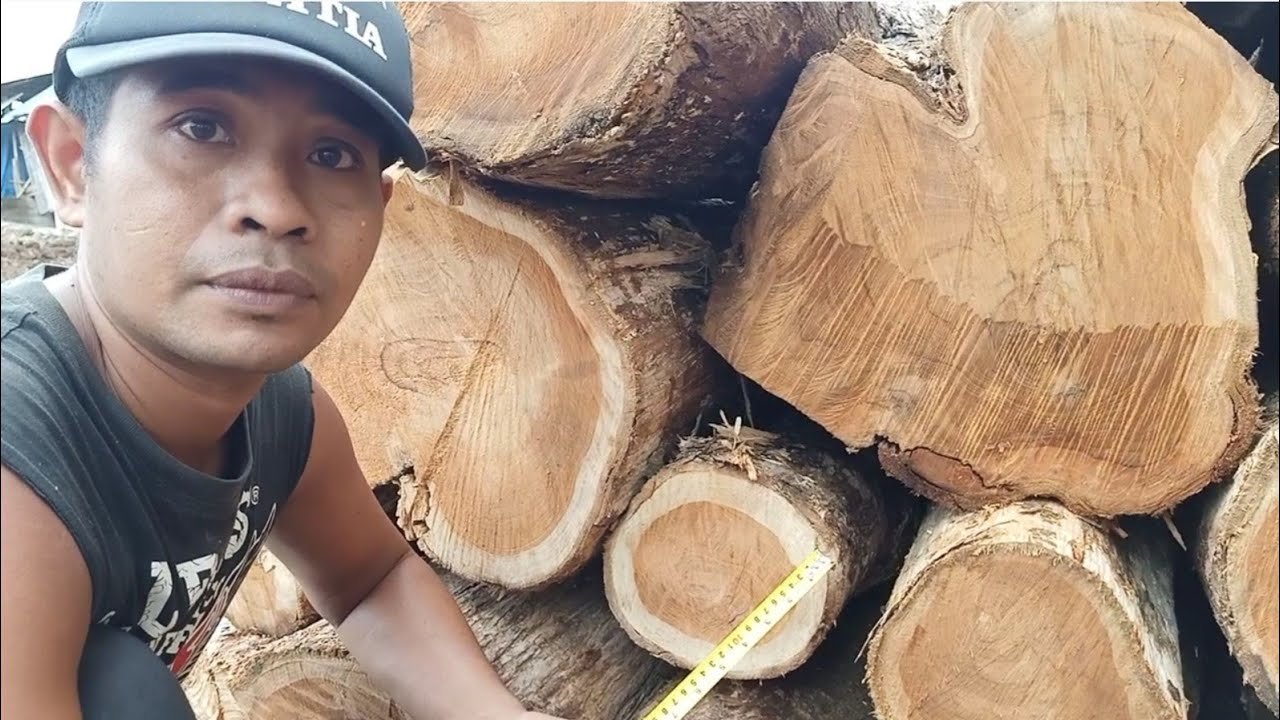 Tutorial cara mengetahui kayu A1 A2 dan A3