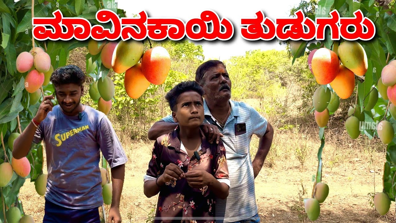 ಮಾವಿನಕಾಯಿ ತುಡುಗರು. Mango Comedy.@MalluJamkhandi@azro__08@mukalepparealteam1 @mantesh_amragol