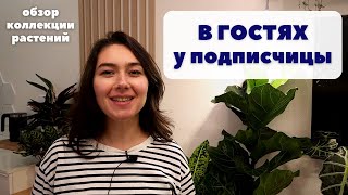 картинка: В ГОСТЯХ у Екатерины / Обзор коллекции РАСТЕНИЙ