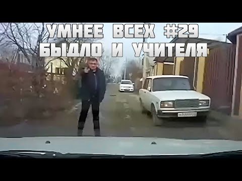УМНЕЕ ВСЕХ #29. БЫДЛО И УЧИТЕЛЯ НА ДОРОГЕ