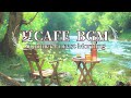 夏の朝靄がかかった森の朝を歩いているようなカフェBGM【カフェBGM】