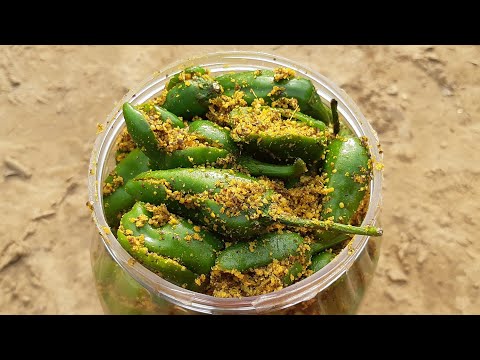Hari mirch ka achaar | green chilli pickle recipe | desi style food | desi achaar | RARA lifestyle |