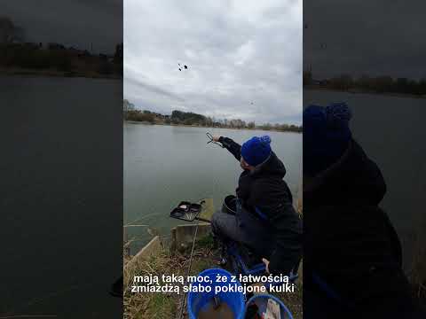Używaj kleju, gdy nęcisz procą